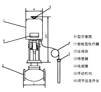 ZZWPE電動溫控調節閥外形示意圖